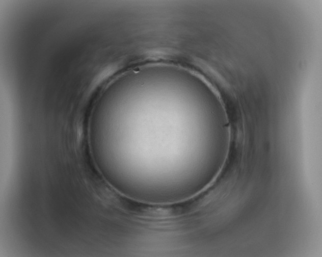 X0000114091261200910051418