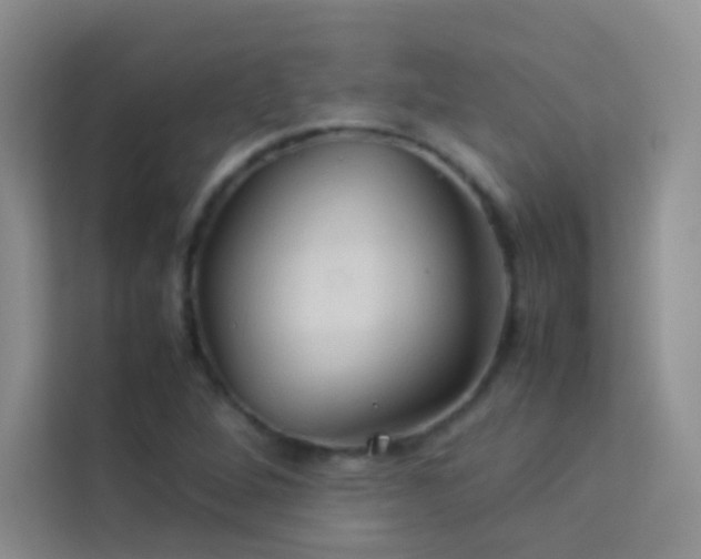 X0000114091264200910051418