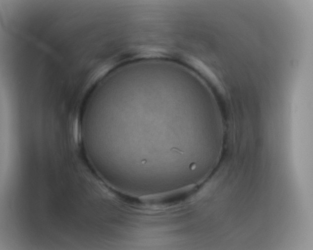 X0000114091269200910051418