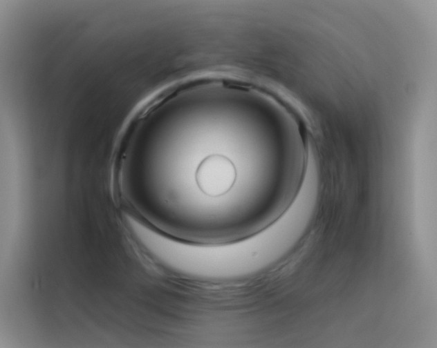 X0000114091272200910051418