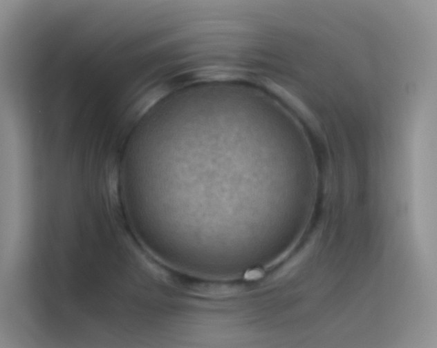 X0000114091273200910051418