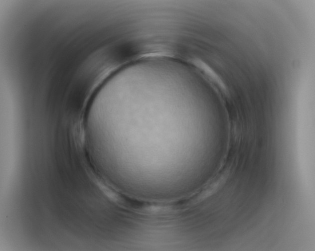 X0000114091274200910051418