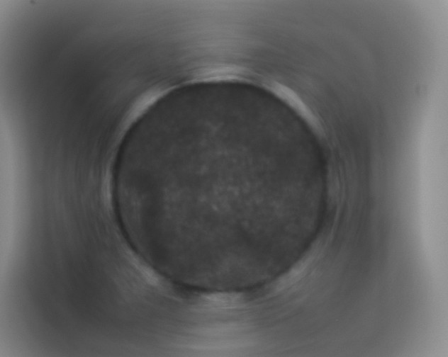 X0000114091277200910051418