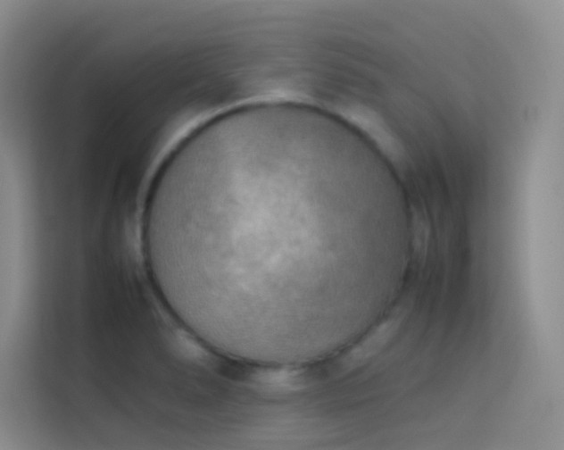 X0000114091278200910051418