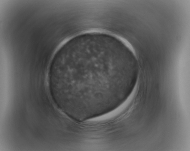 X0000114091279200910051418