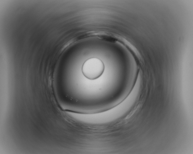 X0000114091281200910051418