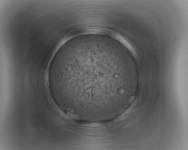 X0000114091283200910051418