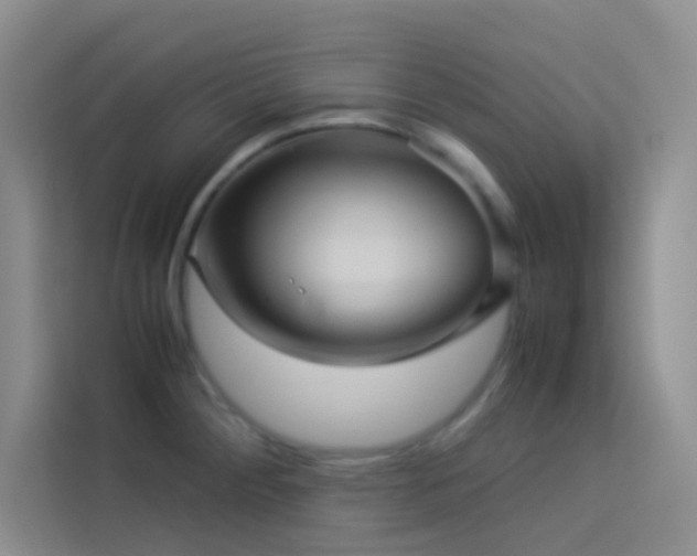 X0000114091284200910051418