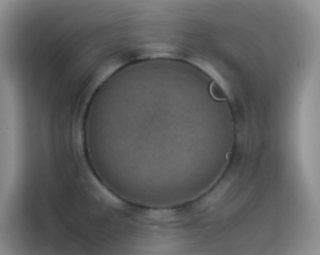 X0000114091285200910051418