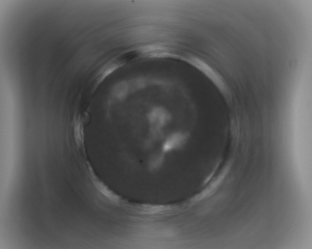 X0000114091289200910051418