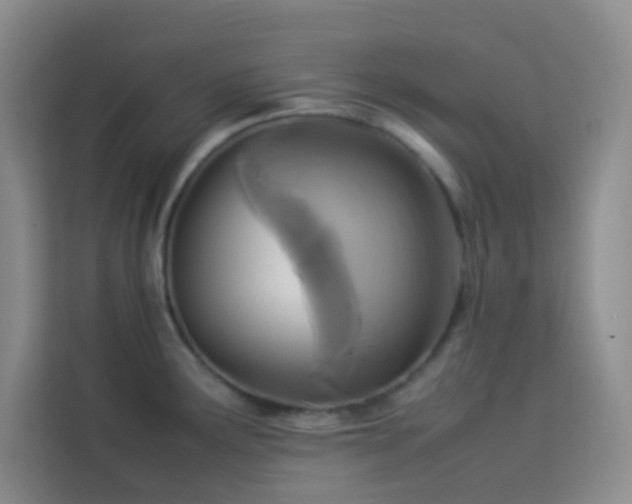 X0000114091291200910051418