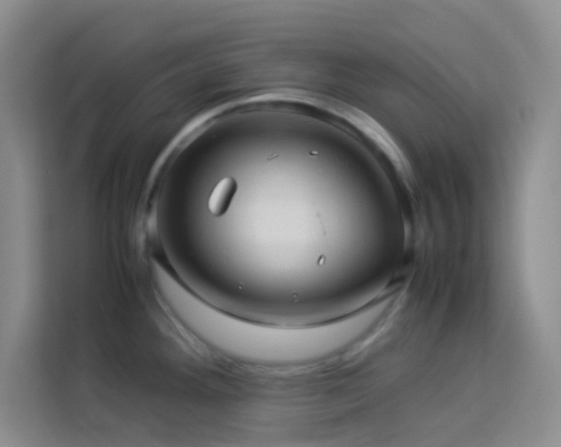X0000114091292200910051418