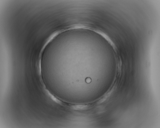 X0000114091294200910051417