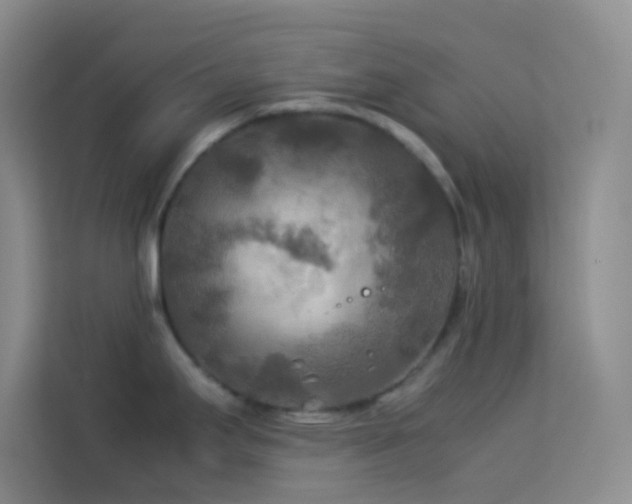 X0000114091295200910051417