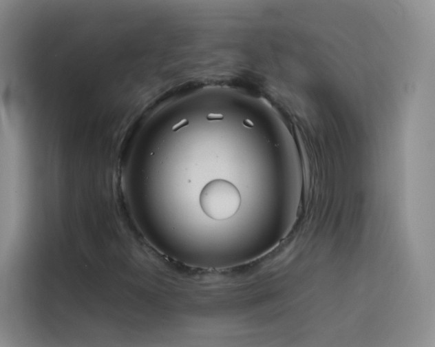 X0000114091300200910051417