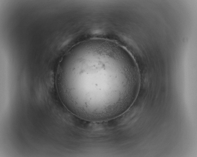X0000114091301200910051417