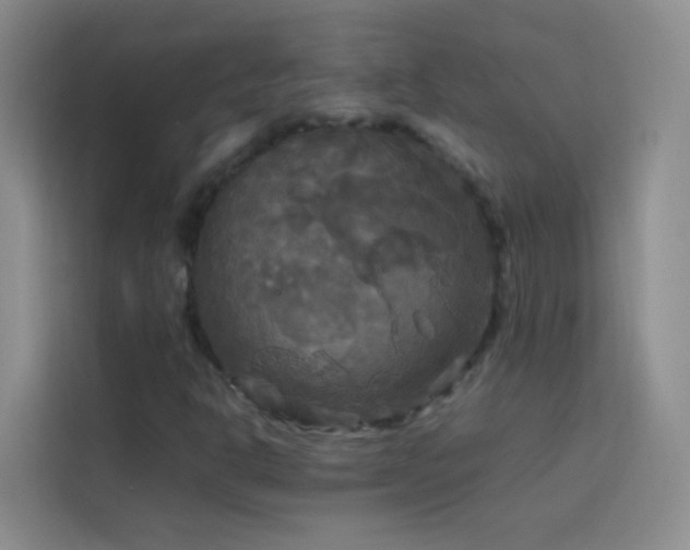X0000114091302200910051417