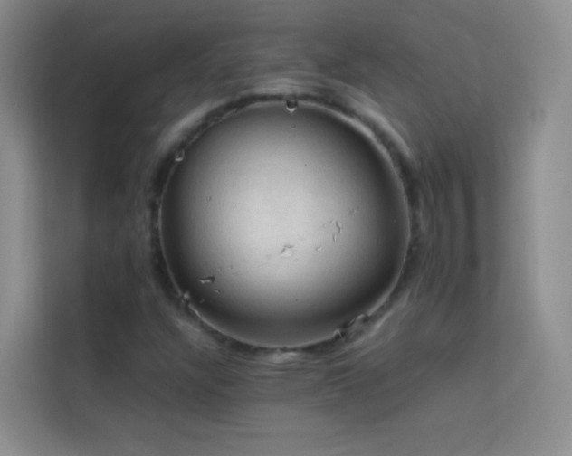 X0000114091304200910051417