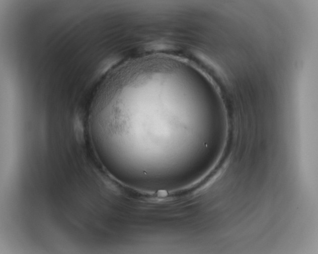 X0000114091305200910051417