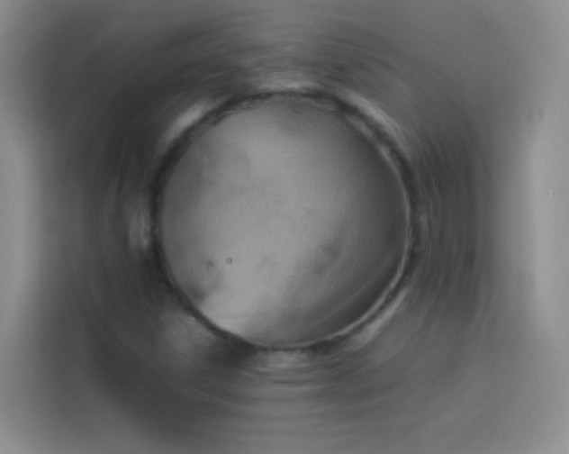X0000114091306200910051417