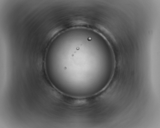X0000114091313200910051417