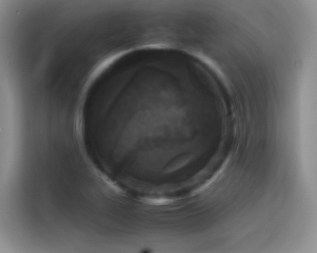 X0000114091319200910051417