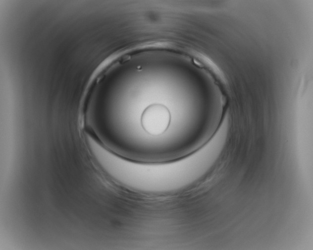 X0000114091324200910051417