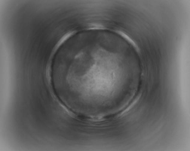 X0000114091325200910051417