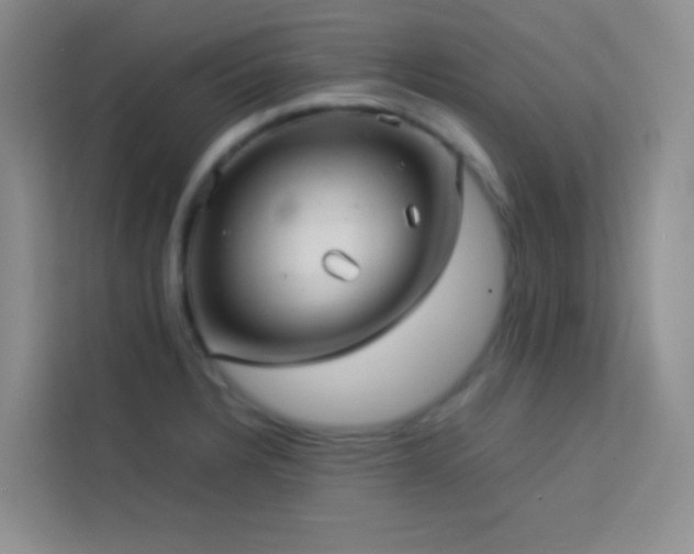 X0000114091328200910051417