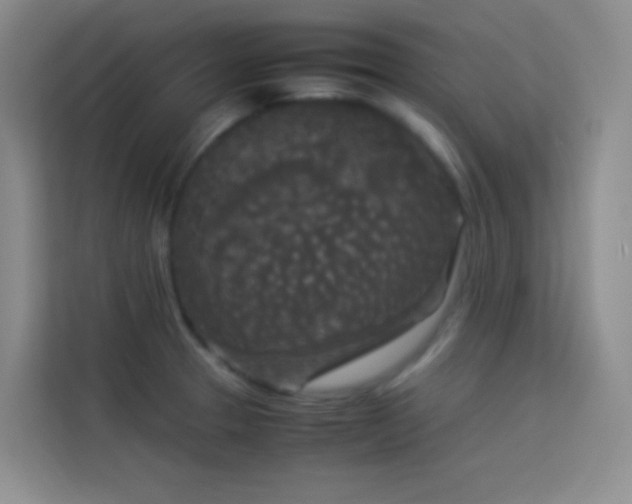 X0000114091329200910051417