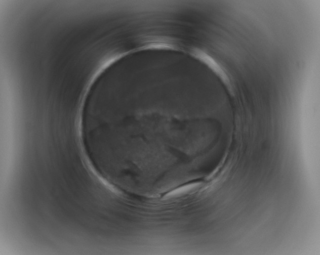 X0000114091331200910051417