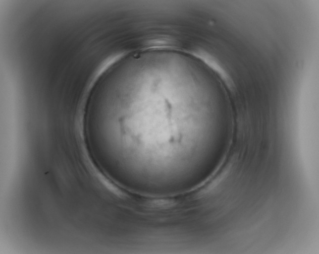 X0000114091333200910051417