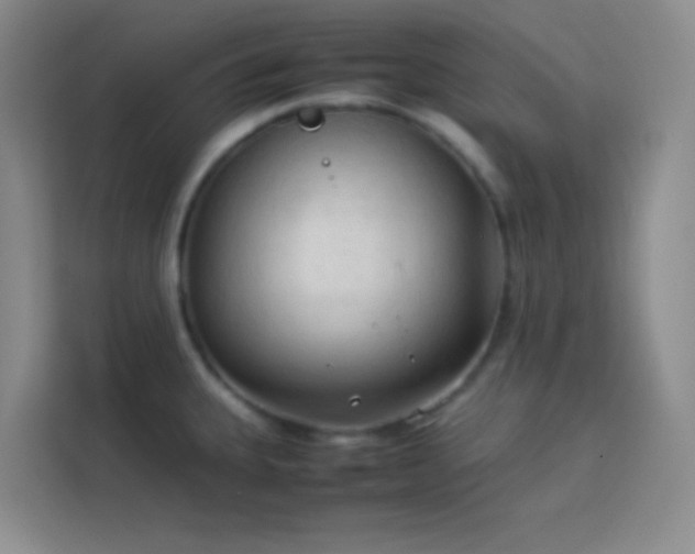 X0000114091335200910051417
