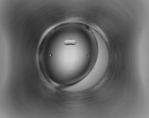 X0000114091336200910051417