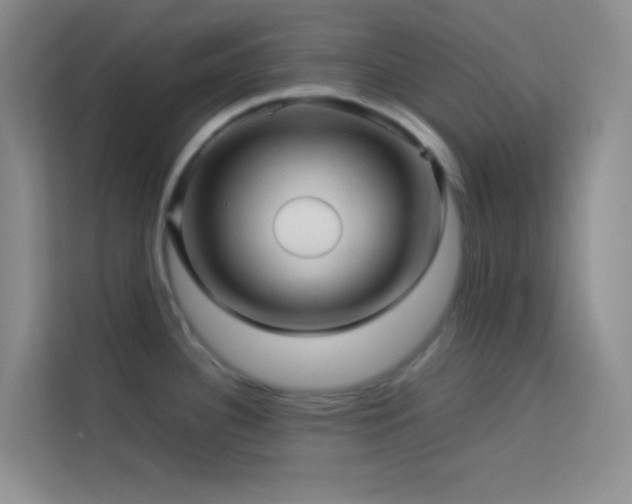 X0000114091340200910051417