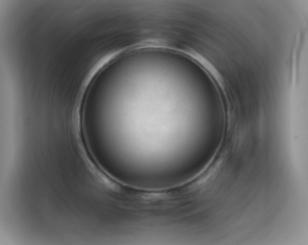 X0000114091341200910051417