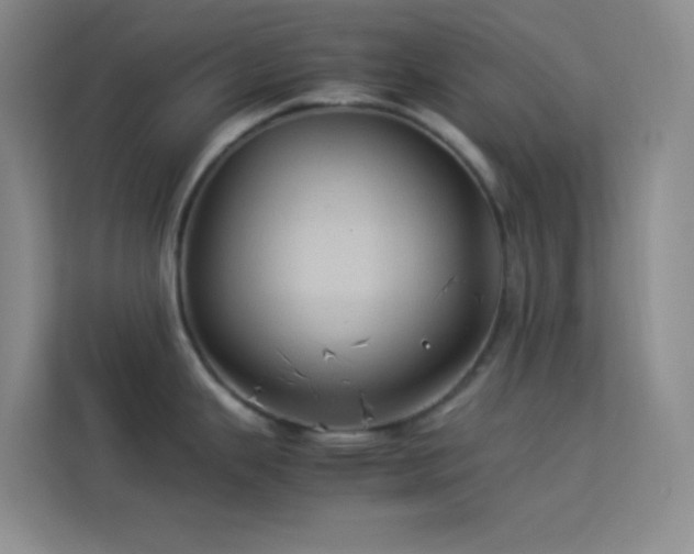 X0000114091343200910051417