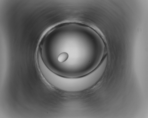 X0000114091344200910051417