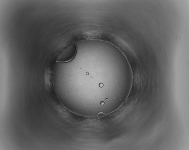 X0000114091346200910051417