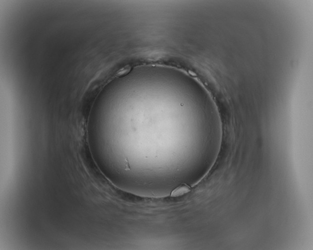 X0000114091349200910051417