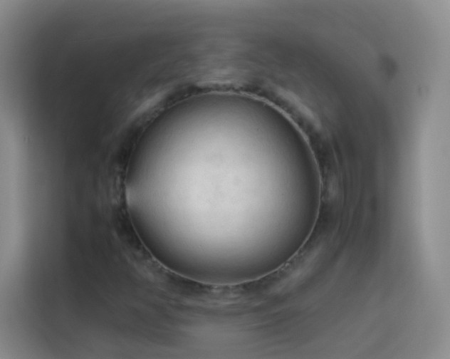 X0000114091350200910051417