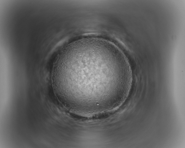 X0000114091351200910051417