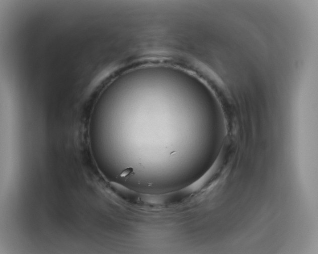 X0000114091352200910051417
