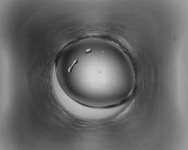 X0000114091353200910051417
