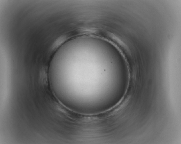 X0000114091354200910051417