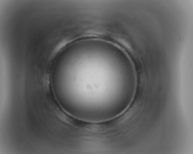 X0000114091355200910051417