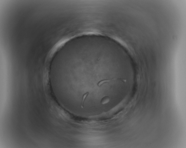 X0000114091359200910051417
