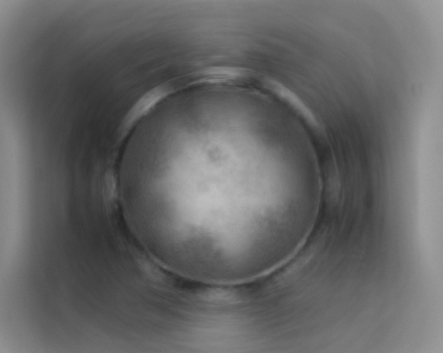 X0000114091362200910051417