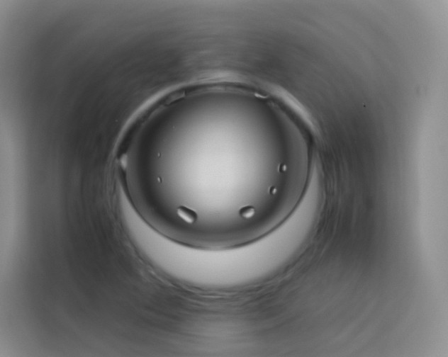 X0000114091364200910051417