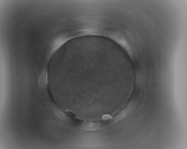 X0000114091365200910051417